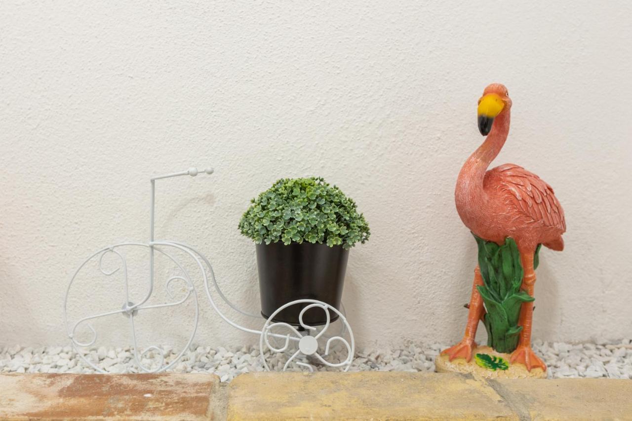 Deledda Home カリアリ エクステリア 写真